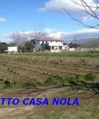 Vendita Agricolo in Via Camillo Cucca