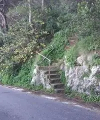 Vendita Agricolo in Via Veterino