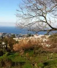 Vendita Agricolo in via PIETRA LISCIA