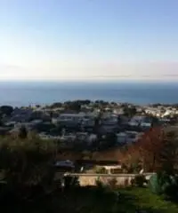 Vendita Agricolo in via PIETRA LISCIA