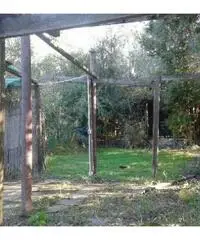 Vendita Agricolo in Via Inferno, 00