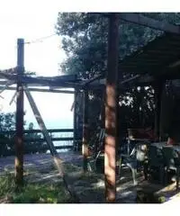 Vendita Agricolo in Via Inferno, 00