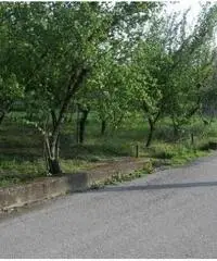 Vendita Agricolo in Via dei Pizzariello