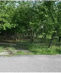 Vendita Agricolo in Via dei Pizzariello