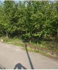 Vendita Agricolo in Via dei Pizzariello