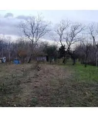 Vendita Agricolo in Via Caserta