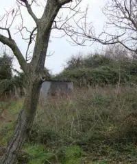 Vendita Edificabile residenziale in Via Casalicello, 22