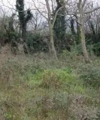 Vendita Edificabile residenziale in Via Casalicello, 22