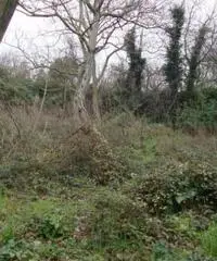 Vendita Edificabile residenziale in Via Casalicello, 22