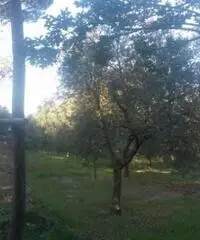 Colli Di San Pietro: Vendita Cinque locali in Via Bosco