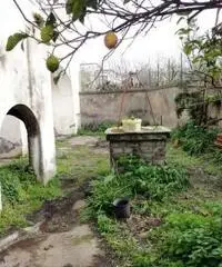 Vendita Multilocale da 305mq