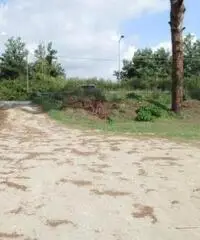 Varcaturo: Affitto Agricolo in Via Ripuaria