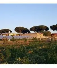 Terreno Agricolo in Vendita a Giugliano in Campania di 1 mq