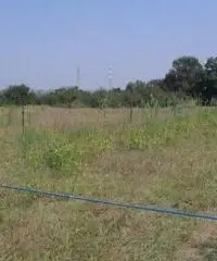 Vendita Agricolo in Via Campana