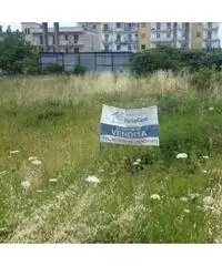 Vendita Agricolo in Via Petraro