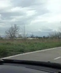 Vendita Agricolo in Strada Provinciale Santa Maria a Cubito Aversa