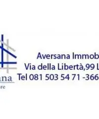 Vendita Agricolo in Strada Provinciale Santa Maria a Cubito Aversa