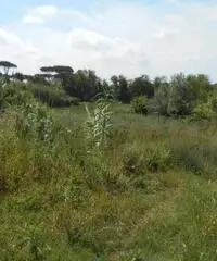 Lago Patria: Vendita Trilocale in Via Staffetta