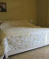 Lavinio-Lido di Enea: Vendita Bilocale in Corso San Francesco