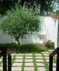 RifITI 029-AA31/307 DB - Villa a schiera in Vendita a Ardea - NUOVA FLORIDA di 150 mq