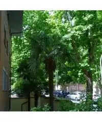 Rif: Roma - GIANICOLO - VIA NICOLA FABRIZI a due passi da TRASTEVERE immerso nel verde, in palazzina