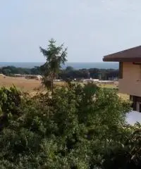 Vendita Trilocale in Viale delle Bougainvillae