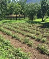 Vendita Monolocale in via cupa baldini