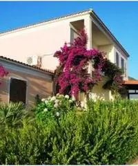 Vendita villa a schiera mq. 80 - Valledoria