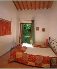 Appartamento in vendita a Radicondoli 70 mq  Rif: 451883