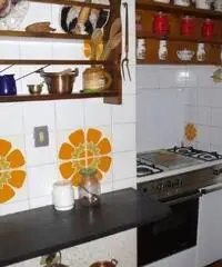 Rif: 21711044-449 - CASSINELLE ( AL ) : Casa indipendente su tre piani con terrazzo e ampio terreno