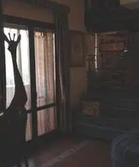 APPARTAMENTO di 4 vani e di 110 mq (ANCONA - ripe) rif. VND 5