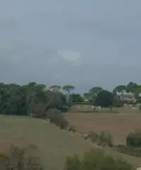 Torrette: Vendita Trilocale in VIA SARAGAT, 4