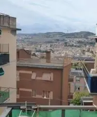 Vendita Trilocale in VIA MONTESSORI