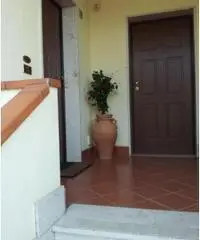 Vendita Immobile da 1111111mq