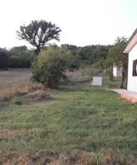 Vendita Villa da 1111111mq con garage