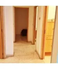 Casa singola angolare con box