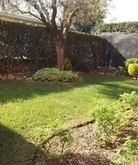 Comonte - appartamento 3 locali € 165.000 T3493IH