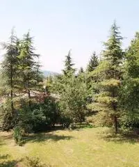 Indipendente in vendita a Monte San Pietro