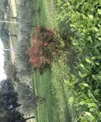 Villa in Vendita a Imola