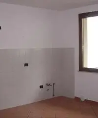 V000864 - Carpenedolo