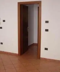 V000864 - Carpenedolo