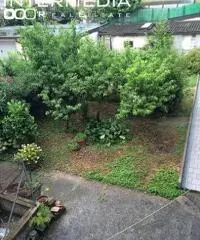 V001911 - Porzione di Casa a Carpenedolo