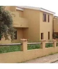 V000877 - IMPERDIBILE OCCASIONE Sant' Anna Arresi,a pochi m