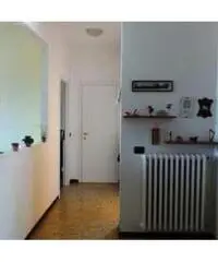 27 - Trilocale in piccolo contesto