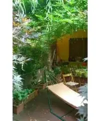 Vendita Bilocale in via San Giuseppe  2