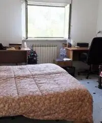 Vendita Trilocale in via cecco angiolieri, 36