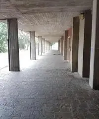 21531033-45 - Ampio appartamento trilocale