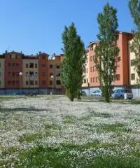 OTTIMO INVESTIMENTO MOLINELLA