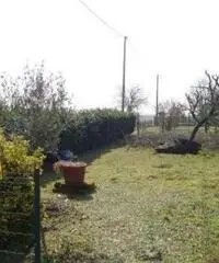 Vendita appartamento mq. 88 - Zona Alberone
