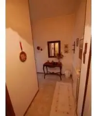 Vendita Trilocale in Via della Canapa